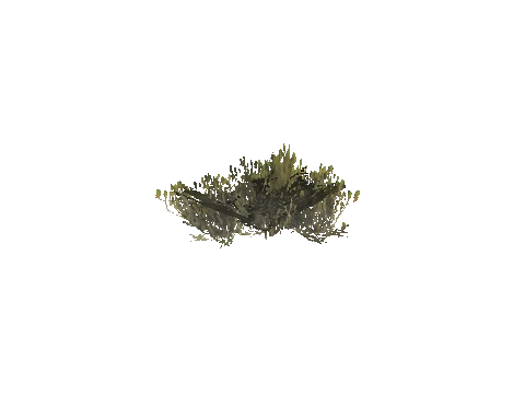 h4_mph4_se_p_1veg02_40_lod