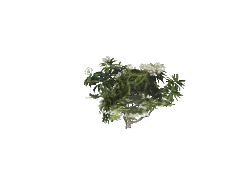 h4_mph4_se_p_2veg02_14_lod