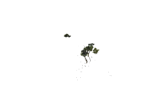 h4_mph4_se_p_2veg02_slod