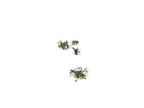 h4_mph4_se_p_2veg03_01_lod