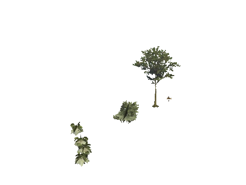 h4_mph4_se_p_2veg03_07_lod