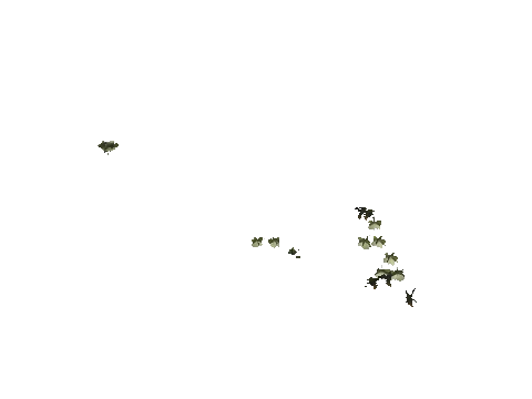 h4_mph4_se_p_2veg03_11_lod