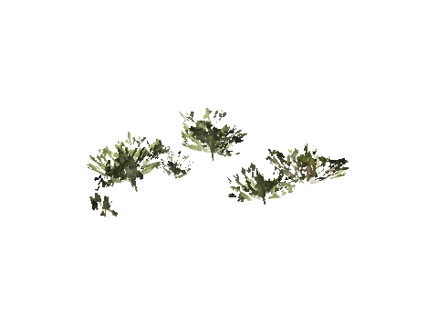 h4_mph4_se_p_2veg03_13_lod