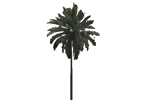 h4_mph4_se_p_2veg03_25_lod