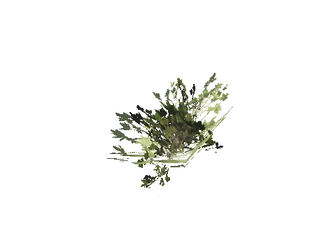 h4_mph4_se_p_2veg03_31_lod