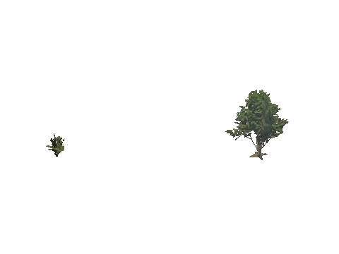 h4_mph4_se_p_2veg03_34_lod