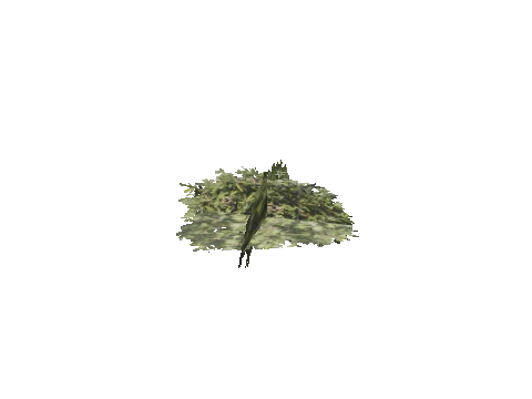 h4_mph4_se_p_2veg04_01_lod