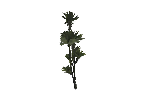 h4_mph4_se_p_3veg01_09_lod
