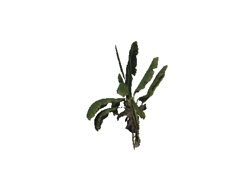 h4_mph4_se_p_3veg02_08_lod