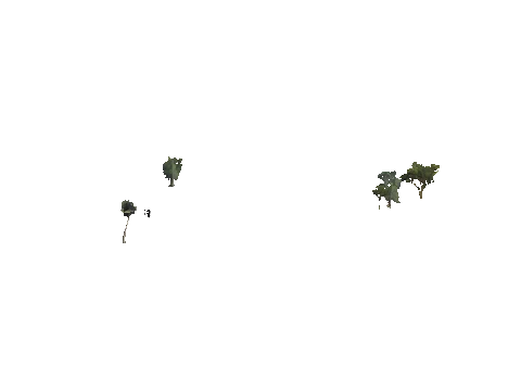 h4_mph4_se_p_3veg02_slod