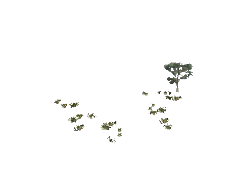 h4_mph4_se_p_3veg03_01_lod
