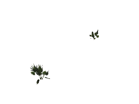 h4_mph4_se_p_3veg03_03_lod