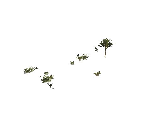 h4_mph4_se_p_3veg03_08_lod