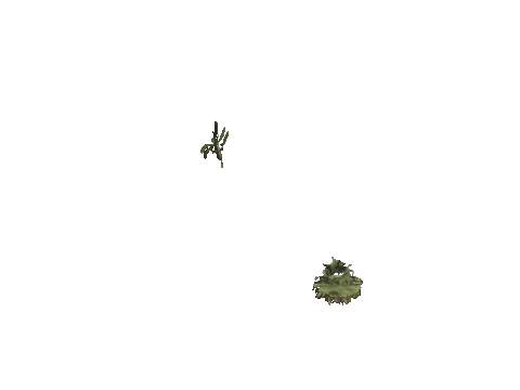 h4_mph4_se_p_3veg03_27_lod