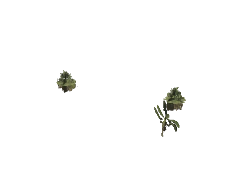 h4_mph4_se_p_3veg03_28_lod