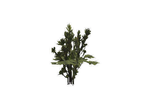 h4_mph4_se_p_3veg03_33_lod