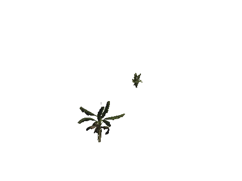 h4_mph4_se_p_3veg03_35_lod