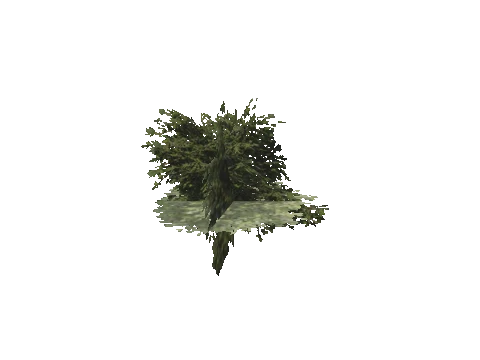 h4_mph4_se_p_3veg03_46_lod