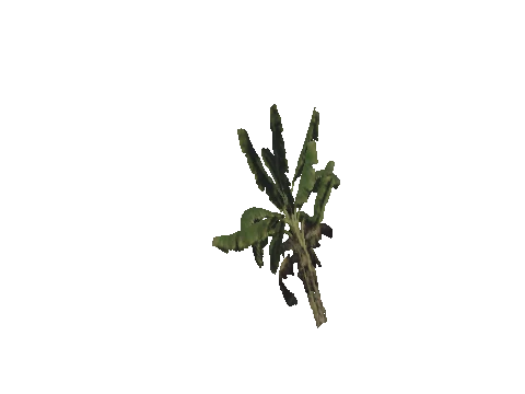 h4_mph4_se_p_3veg03_49_lod