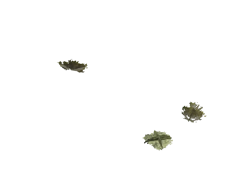 h4_mph4_se_p_4veg01_01_lod