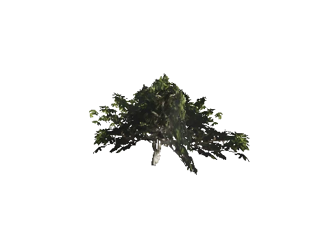 h4_mph4_se_p_4veg01_07_lod