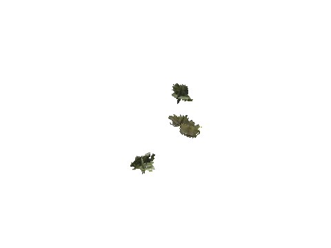 h4_mph4_se_p_4veg01_10_lod