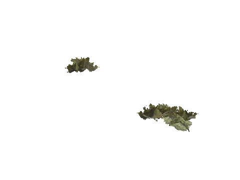 h4_mph4_se_p_4veg01_12_lod