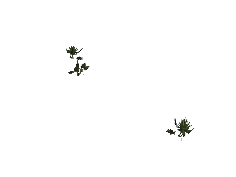 h4_mph4_se_p_4veg01_13_lod