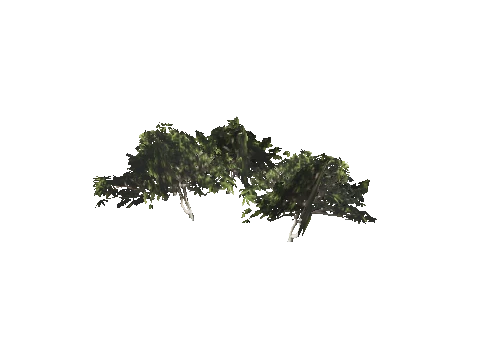 h4_mph4_se_p_4veg01_19_lod