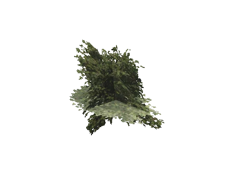 h4_mph4_se_p_4veg02_08_lod