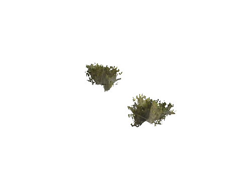 h4_mph4_se_p_4veg02_15_lod