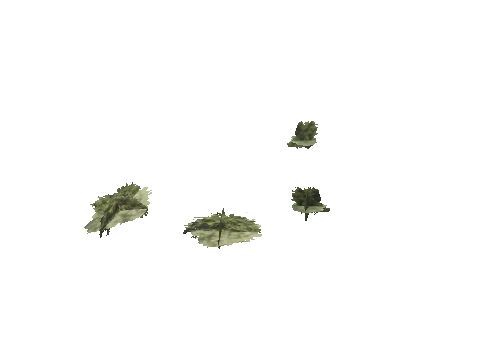 h4_mph4_se_p_4veg04_07_lod
