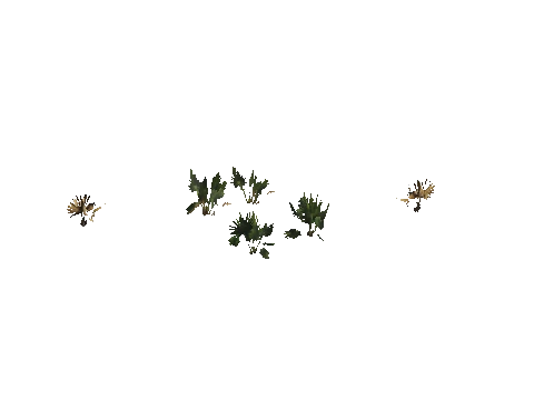 h4_mph4_se_p_4veg04_08_lod
