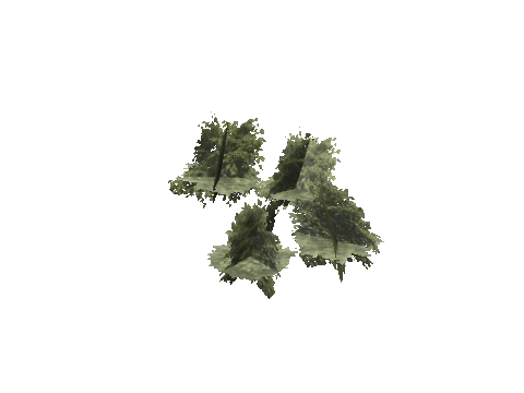 h4_mph4_se_p_4veg04_12_lod