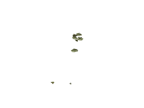 h4_mph4_se_p_4veg04_16_lod