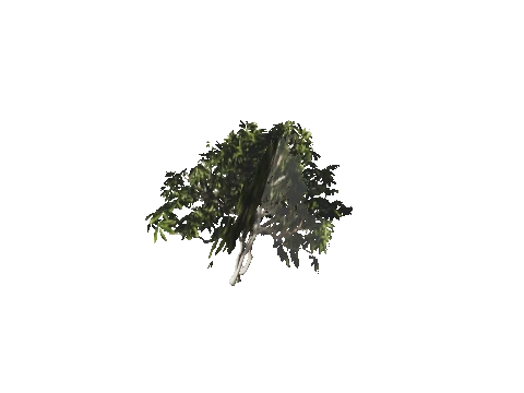 h4_mph4_se_p_4veg04_19_lod