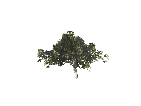 h4_mph4_se_p_4veg04_20_lod