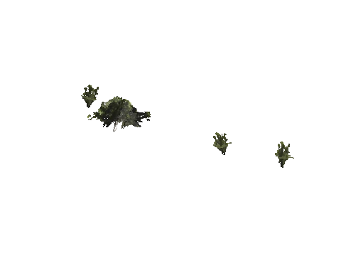 h4_mph4_se_p_4veg04_21_lod