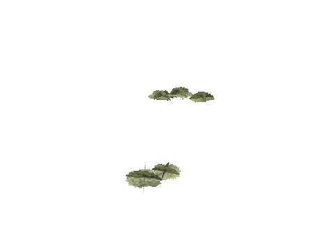 h4_mph4_se_p_4veg04_26_lod