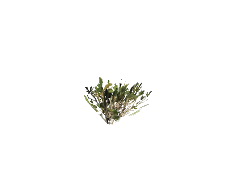 h4_mph4_se_p_4veg04_28_lod