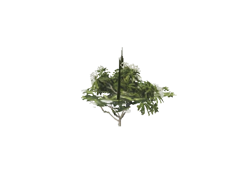 h4_mph4_se_p_5veg01_01_lod