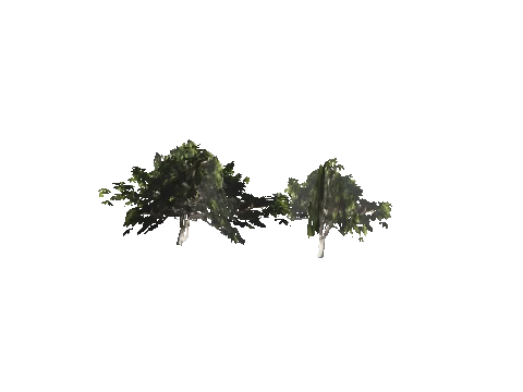 h4_mph4_se_p_5veg01_09_lod