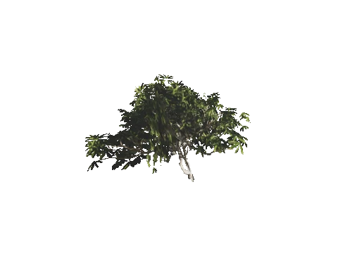 h4_mph4_se_p_5veg01_10_lod