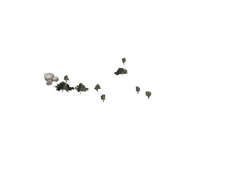 h4_mph4_se_p_5veg01_slod