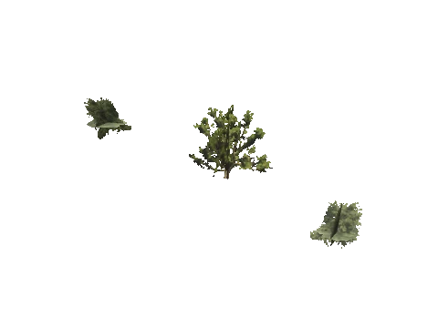 h4_mph4_se_p_5veg02_02_lod