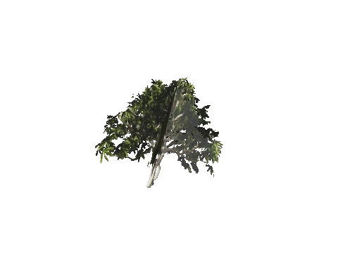 h4_mph4_se_p_5veg02_06_lod