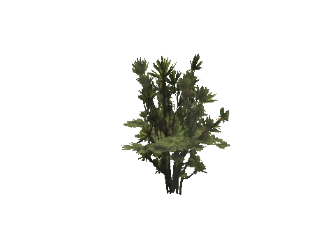 h4_mph4_se_p_5veg02_12_lod