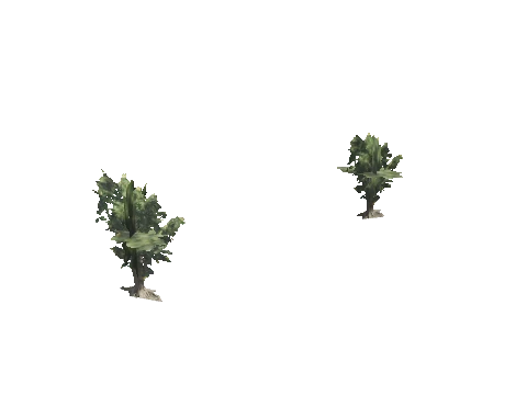 h4_mph4_se_p_5veg03_01_lod