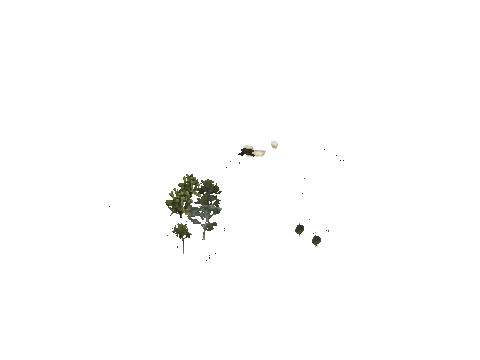 h4_mph4_se_p_5veg03_slod