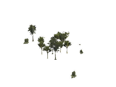 h4_mph4_se_p_5veg04_08_lod
